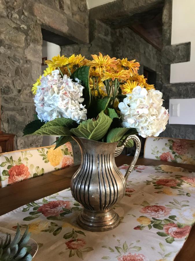 Charming Green Country House Nordestinho Buitenkant foto